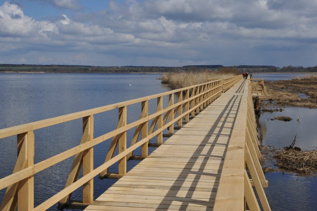 Moderner Holzsteg am Federsee mit Geländer, der weit über das Wasser hinausführt