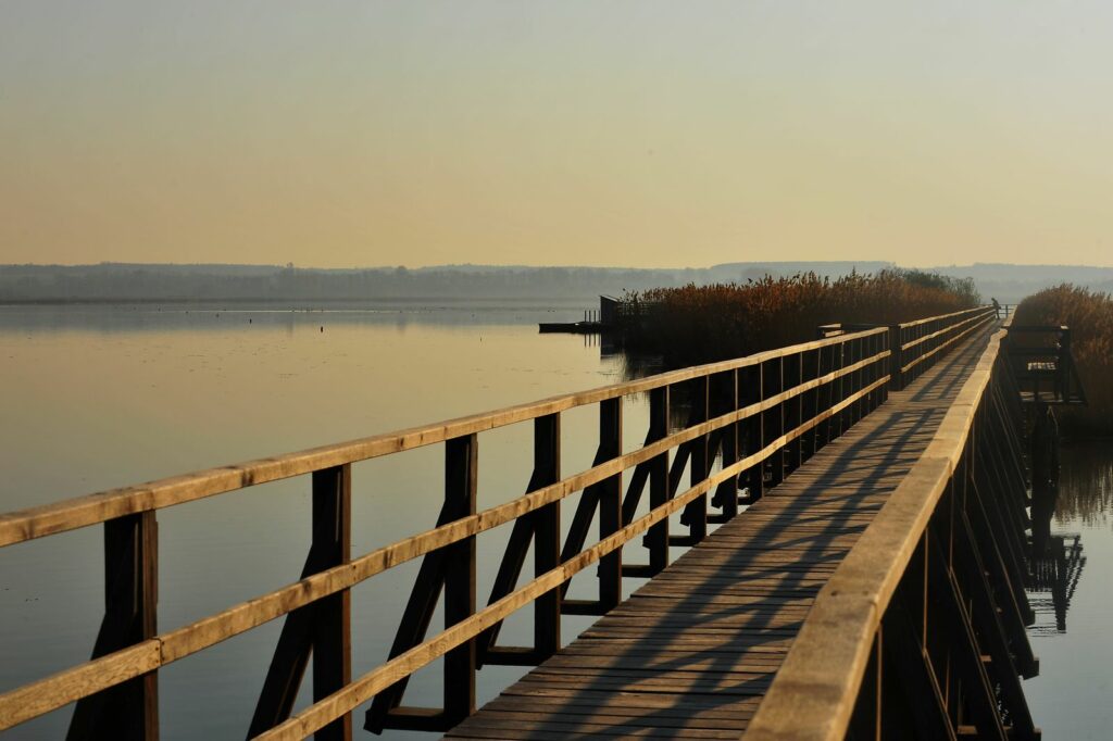 Holzsteg am Federsee bei ruhigem Wasser und warmem Abendlicht mit Blick über die Landschaft