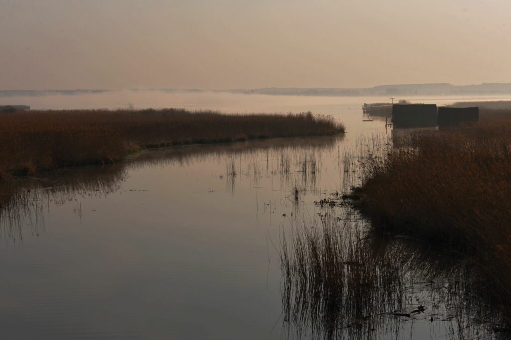 ruhige Wasserlandschaft am Federsee mit Schilf und kleinen Fischerhütten im Morgennebel