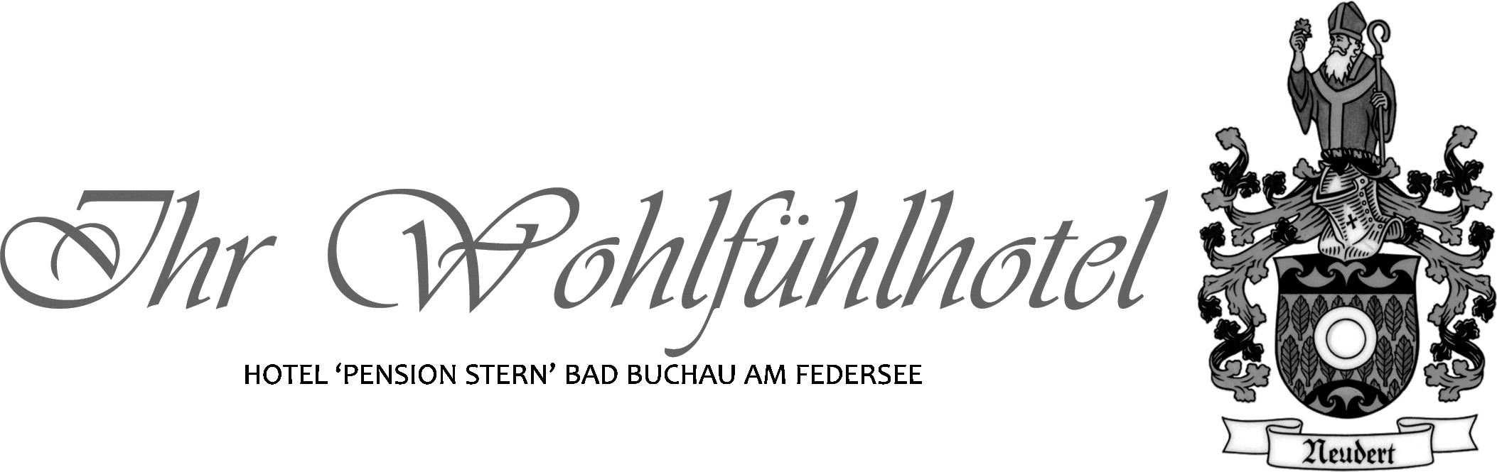 Hotel-Pension Stern Logo mit stilisiertem blauen Schriftzug „Stern“, gelbem Sternsymbol darüber und dem Zusatz „Bad Buchau am Federsee